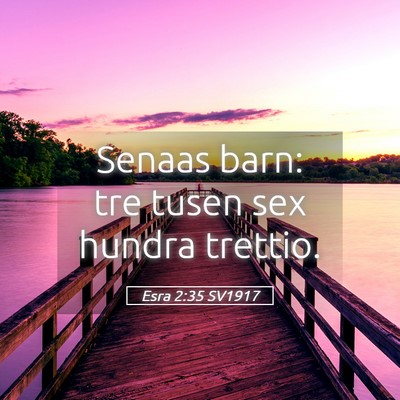 Picture 05 - Esra 2:35 SV1917 - Senaas barn: tre tusen sex hundra - Bible Verse Picture
