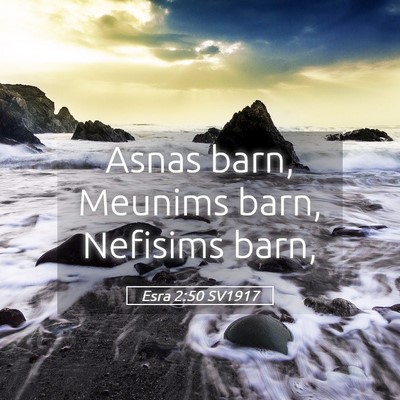 Picture 05 - Esra 2:50 SV1917 - Asnas barn, Meunims barn, Nefisims - Bible Verse Picture