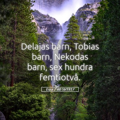 Picture 05 - Esra 2:60 SV1917 - Delajas barn, Tobias barn, Nekodas barn, sex - Bible Verse Picture
