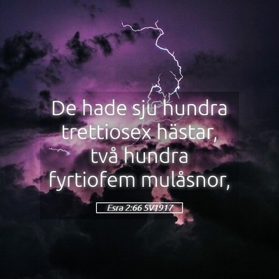 Picture 05 - Esra 2:66 SV1917 - De hade sju hundra trettiosex hästar, två - Bible Verse Picture