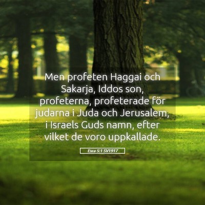 Picture 05 - Esra 5:1 SV1917 - Men profeten Haggai och Sakarja, Iddos son, - Bible Verse Picture