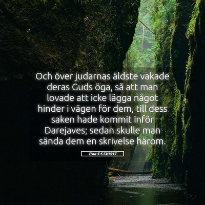 Picture 05 - Esra 5:5 SV1917 - Och över judarnas äldste vakade deras Guds - Bible Verse Picture