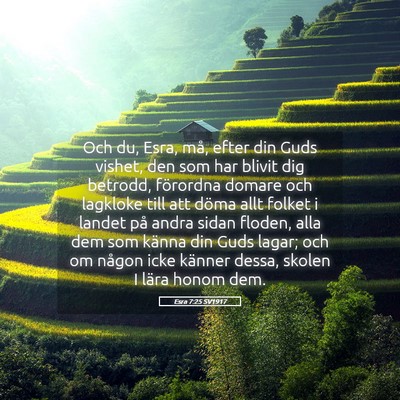 Picture 05 - Esra 7:25 SV1917 - Och du, Esra, må, efter din Guds vishet, den som - Bible Verse Picture
