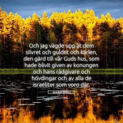 Picture 05 - Esra 8:25 SV1917 - Och jag vägde upp åt dem silvret och guldet och - Bible Verse Picture