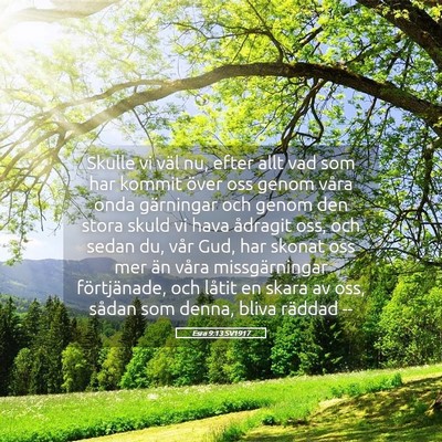 Picture 05 - Esra 9:13 SV1917 - Skulle vi väl nu, efter allt vad som har kommit - Bible Verse Picture