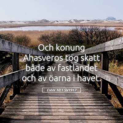 Picture 05 - Ester 10:1 SV1917 - Och konung Ahasveros tog skatt både av - Bible Verse Picture