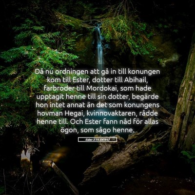 Picture 05 - Ester 2:15 SV1917 - Då nu ordningen att gå in till konungen kom - Bible Verse Picture
