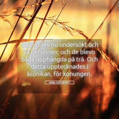 Picture 05 - Ester 2:23 SV1917 - Saken blev nu undersökt och så befunnen; och de - Bible Verse Picture