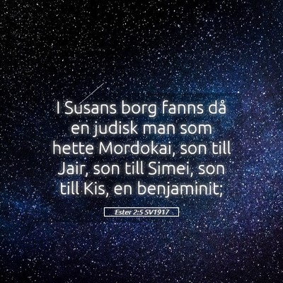 Picture 05 - Ester 2:5 SV1917 - I Susans borg fanns då en judisk man som hette - Bible Verse Picture