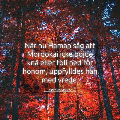 Picture 05 - Ester 3:5 SV1917 - När nu Haman såg att Mordokai icke böjde knä - Bible Verse Picture