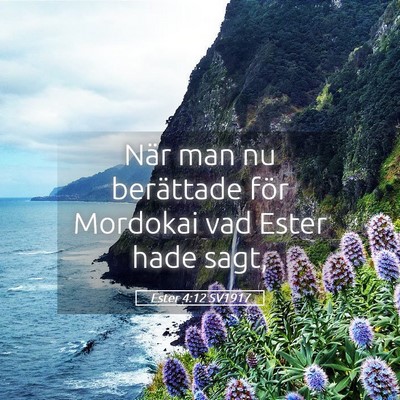 Picture 05 - Ester 4:12 SV1917 - När man nu berättade för Mordokai vad Ester - Bible Verse Picture