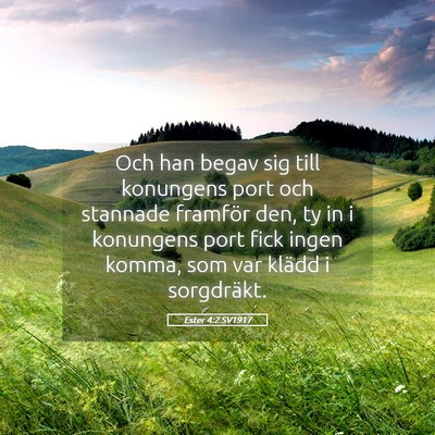 Picture 05 - Ester 4:2 SV1917 - Och han begav sig till konungens port och - Bible Verse Picture