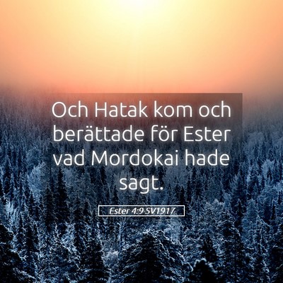 Picture 05 - Ester 4:9 SV1917 - Och Hatak kom och berättade för Ester vad - Bible Verse Picture