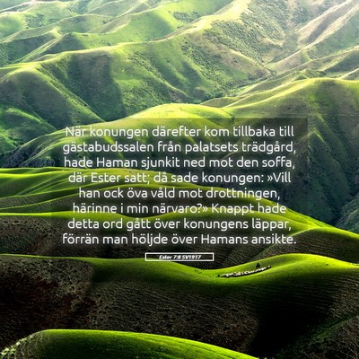 Picture 05 - Ester 7:8 SV1917 - När konungen därefter kom tillbaka till - Bible Verse Picture