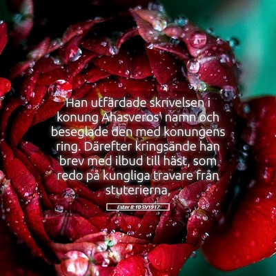 Picture 05 - Ester 8:10 SV1917 - Han utfärdade skrivelsen i konung Ahasveros' - Bible Verse Picture