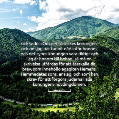 Picture 05 - Ester 8:5 SV1917 - och sade: »Om det så täckes konungen, och om - Bible Verse Picture