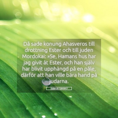 Picture 05 - Ester 8:7 SV1917 - Då sade konung Ahasveros till drottning Ester - Bible Verse Picture