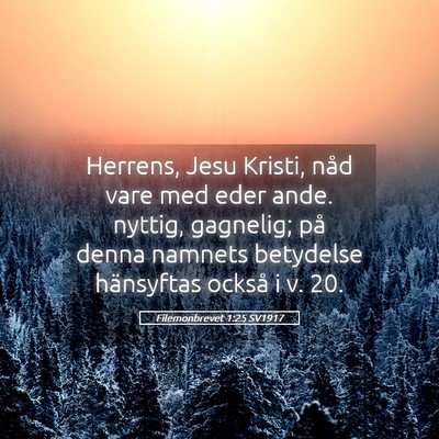 Picture 05 - Filemonbrevet 1:25 SV1917 - Herrens, Jesu Kristi, nåd vare med eder ande. - Bible Verse Picture