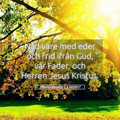 Picture 05 - Filemonbrevet 1:3 SV1917 - Nåd vare med eder och frid ifrån Gud, vår - Bible Verse Picture