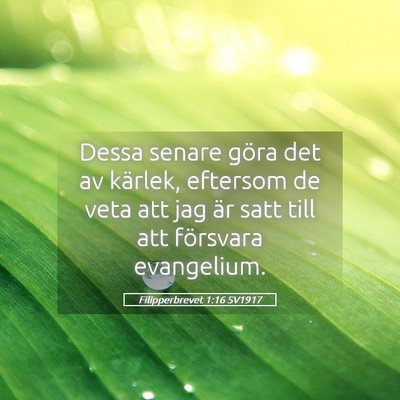 Picture 05 - Filipperbrevet 1:16 SV1917 - Dessa senare göra det av kärlek, eftersom de - Bible Verse Picture