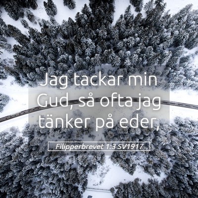 Picture 05 - Filipperbrevet 1:3 SV1917 - Jag tackar min Gud, så ofta jag tänker på - Bible Verse Picture