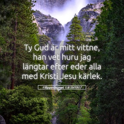 Picture 05 - Filipperbrevet 1:8 SV1917 - Ty Gud är mitt vittne, han vet huru jag längtar - Bible Verse Picture