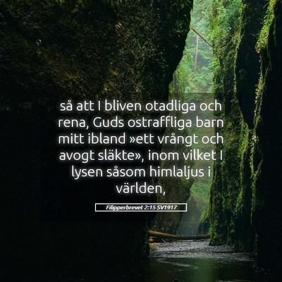 Picture 05 - Filipperbrevet 2:15 SV1917 - så att I bliven otadliga och rena, Guds - Bible Verse Picture