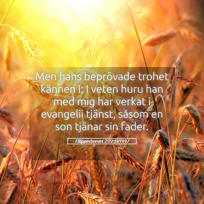 Picture 05 - Filipperbrevet 2:22 SV1917 - Men hans beprövade trohet kännen I; I veten - Bible Verse Picture