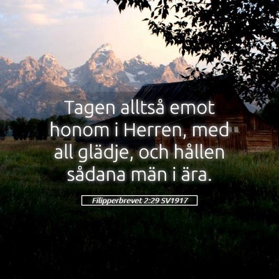 Picture 05 - Filipperbrevet 2:29 SV1917 - Tagen alltså emot honom i Herren, med all - Bible Verse Picture