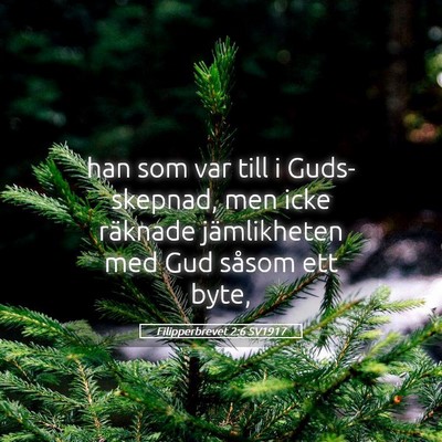 Picture 05 - Filipperbrevet 2:6 SV1917 - han som var till i Guds-skepnad, men icke - Bible Verse Picture