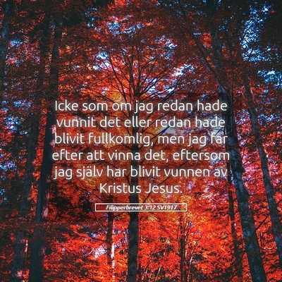 Picture 05 - Filipperbrevet 3:12 SV1917 - Icke som om jag redan hade vunnit det eller redan - Bible Verse Picture