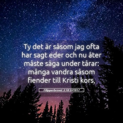 Picture 05 - Filipperbrevet 3:18 SV1917 - Ty det är såsom jag ofta har sagt eder och nu - Bible Verse Picture