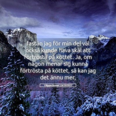 Picture 05 - Filipperbrevet 3:4 SV1917 - fastän jag för min del väl också kunde hava - Bible Verse Picture