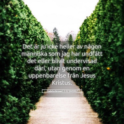 Picture 05 - Galaterbrevet 1:12 SV1917 - Det är ju icke heller av någon människa som - Bible Verse Picture