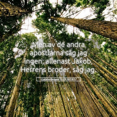 Picture 05 - Galaterbrevet 1:19 SV1917 - Men av de andra apostlarna såg jag ingen; - Bible Verse Picture
