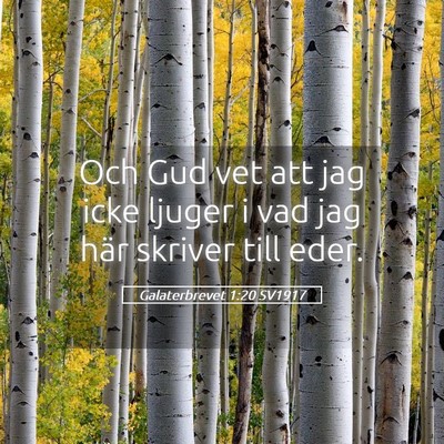 Picture 05 - Galaterbrevet 1:20 SV1917 - Och Gud vet att jag icke ljuger i vad jag här - Bible Verse Picture