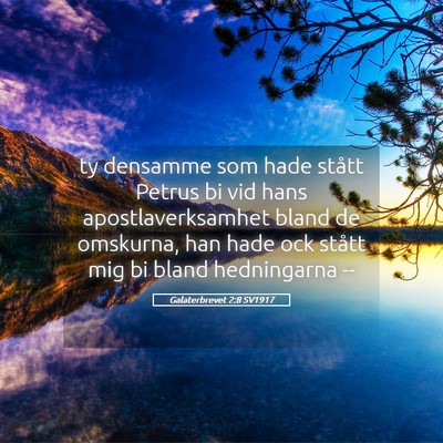 Picture 05 - Galaterbrevet 2:8 SV1917 - ty densamme som hade stått Petrus bi vid hans - Bible Verse Picture