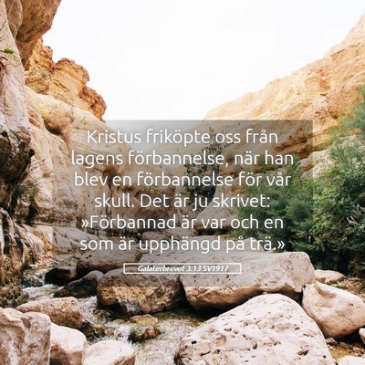 Picture 05 - Galaterbrevet 3:13 SV1917 - Kristus friköpte oss från lagens förbannelse, - Bible Verse Picture