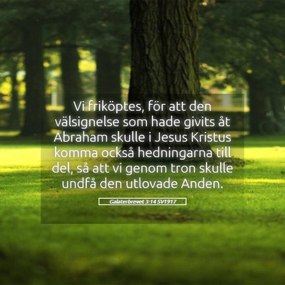 Picture 05 - Galaterbrevet 3:14 SV1917 - Vi friköptes, för att den välsignelse som hade - Bible Verse Picture