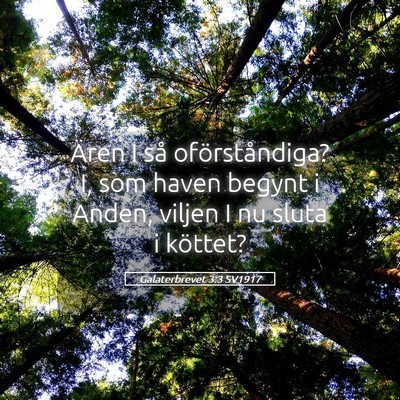 Picture 05 - Galaterbrevet 3:3 SV1917 - Ären I så oförståndiga? I, som haven begynt i - Bible Verse Picture