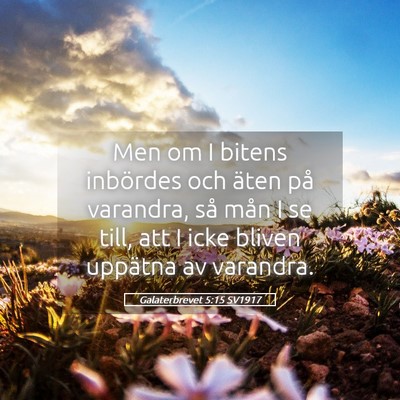 Picture 05 - Galaterbrevet 5:15 SV1917 - Men om I bitens inbördes och äten på varandra, - Bible Verse Picture