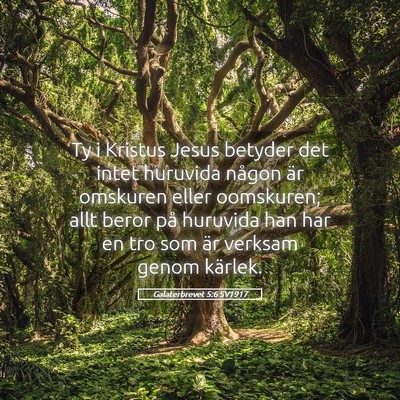 Picture 05 - Galaterbrevet 5:6 SV1917 - Ty i Kristus Jesus betyder det intet huruvida - Bible Verse Picture