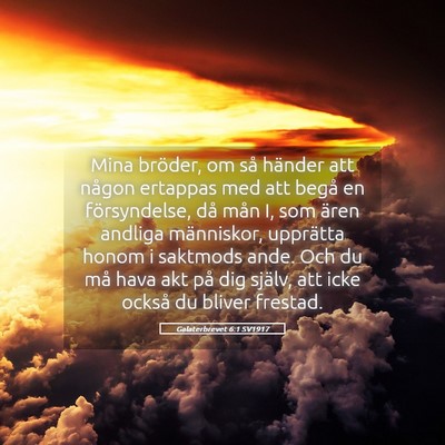 Picture 05 - Galaterbrevet 6:1 SV1917 - Mina bröder, om så händer att någon ertappas - Bible Verse Picture