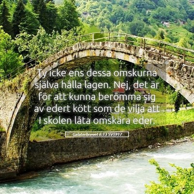 Picture 05 - Galaterbrevet 6:13 SV1917 - Ty icke ens dessa omskurna själva hålla lagen. - Bible Verse Picture