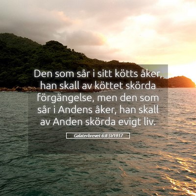 Picture 05 - Galaterbrevet 6:8 SV1917 - Den som sår i sitt kötts åker, han skall av - Bible Verse Picture