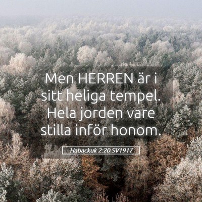 Picture 05 - Habackuk 2:20 SV1917 - Men HERREN är i sitt heliga tempel. Hela jorden - Bible Verse Picture