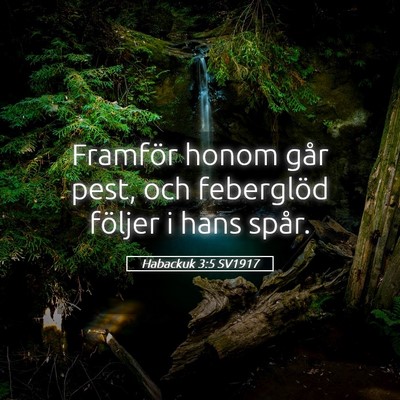 Picture 05 - Habackuk 3:5 SV1917 - Framför honom går pest, och feberglöd följer - Bible Verse Picture
