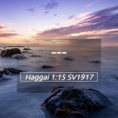 Picture 05 - Haggai 1:15 SV1917 -  - Bible Verse Picture