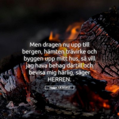 Picture 05 - Haggai 1:8 SV1917 - Men dragen nu upp till bergen, hämten trävirke - Bible Verse Picture