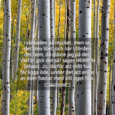 Picture 05 - Haggai 1:9 SV1917 - I väntaden på mycket, men se, det blev litet, - Bible Verse Picture